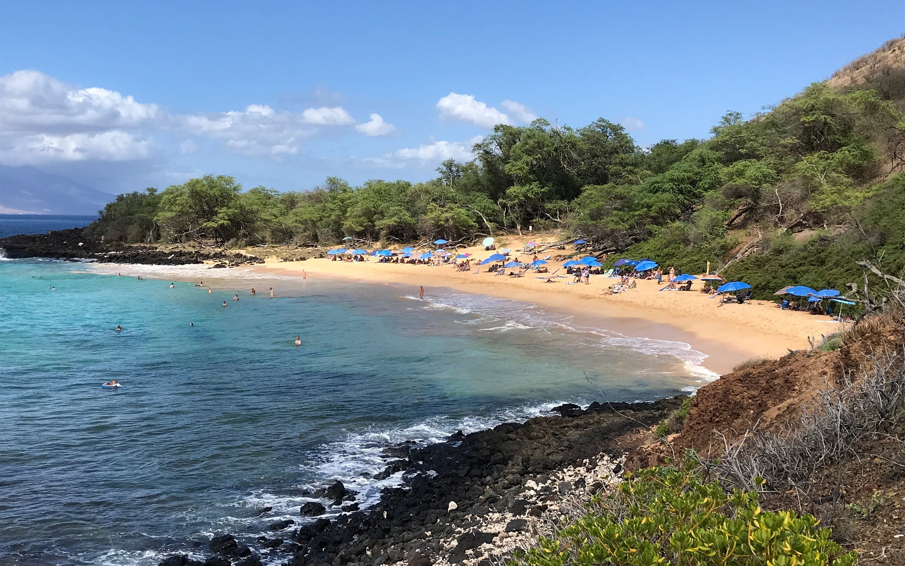 Little Beach needs friends